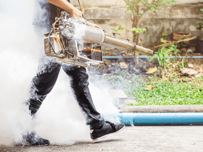 About Critvaultx Solution - pest control experts in Denton